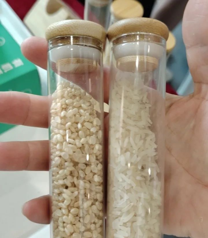 老年人补硒多少毫克