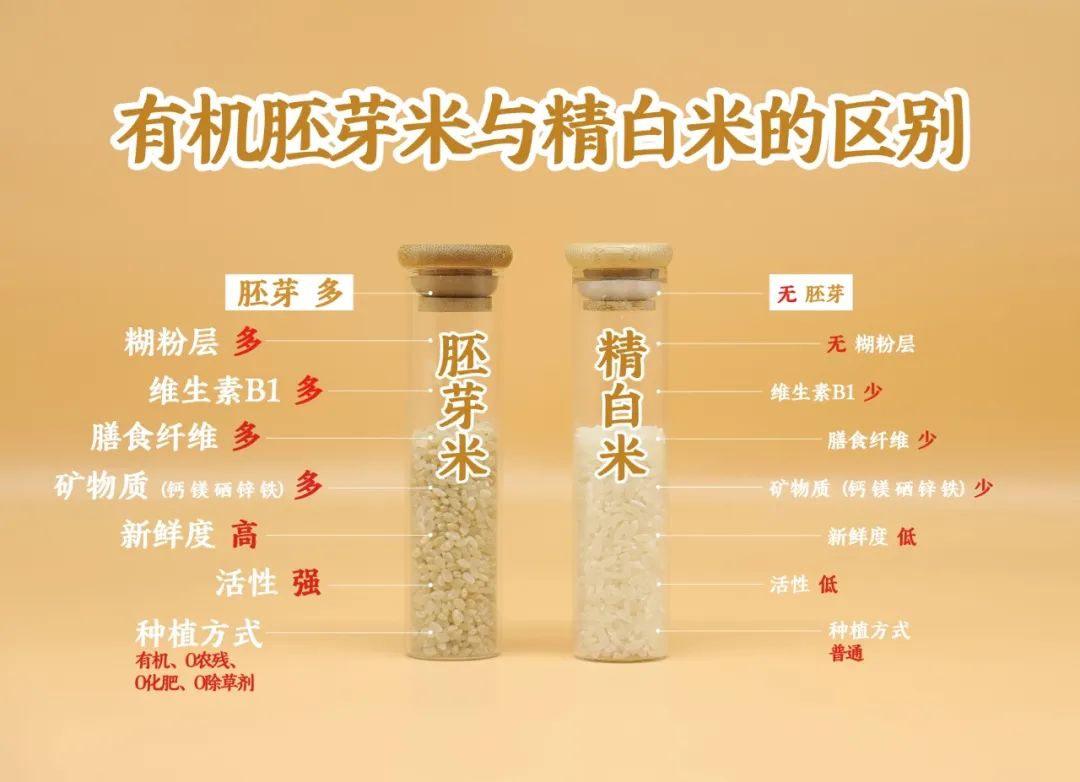 老年人补硒多少毫克