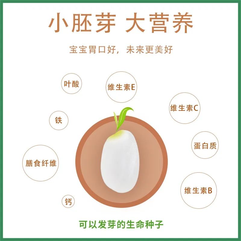 老年人补硒多少毫克