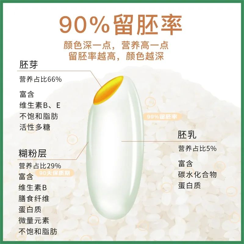 老年人补硒多少毫克