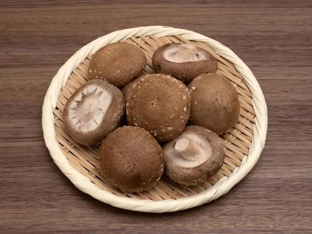 补硒元素的药物