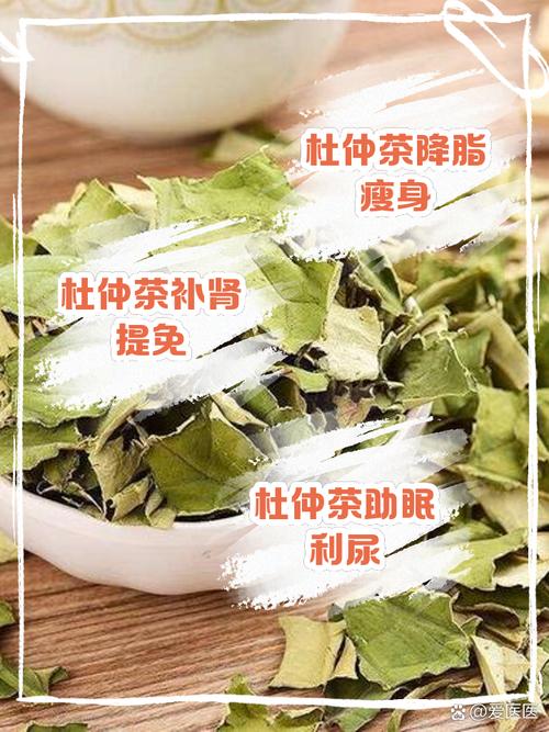 杜仲茶叶的功效