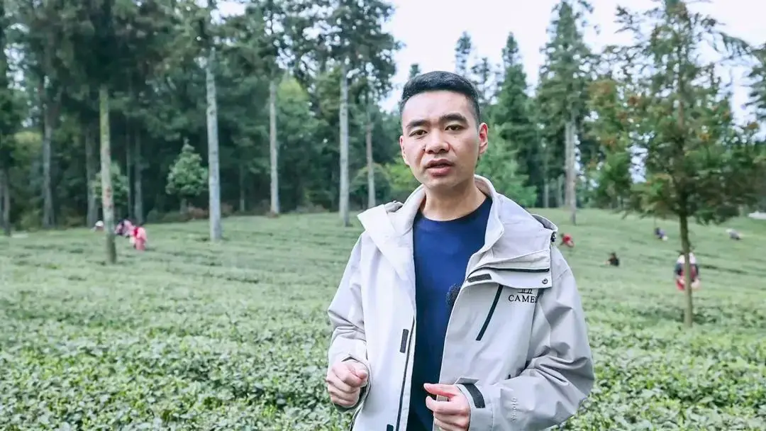 凤冈锌硒茶功效