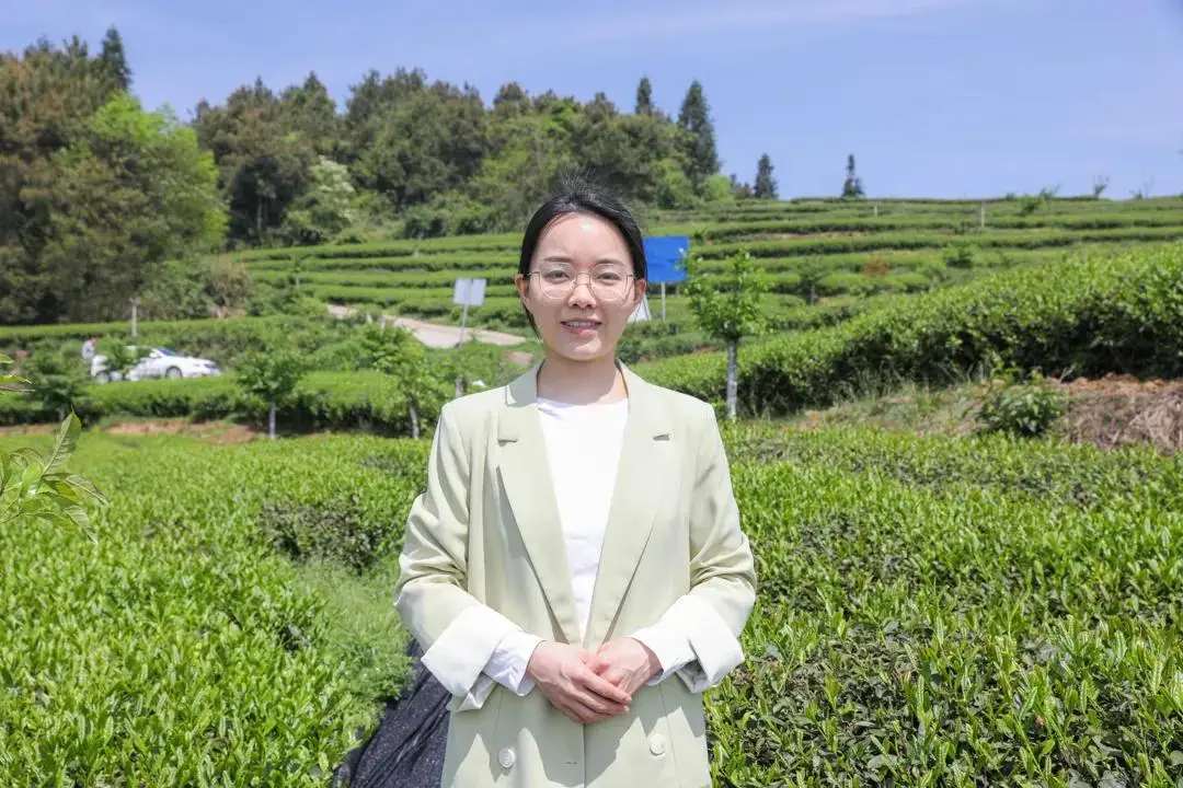 凤冈锌硒茶功效