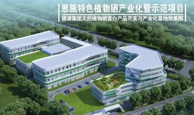 补硒十大排行榜