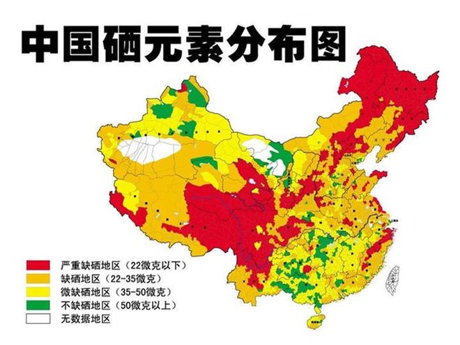 补硒哪种硒最好
