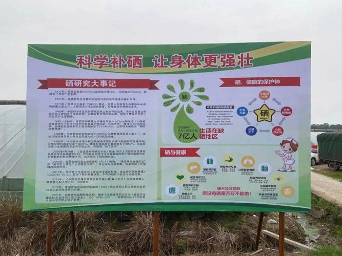 全民科学补硒养生工程