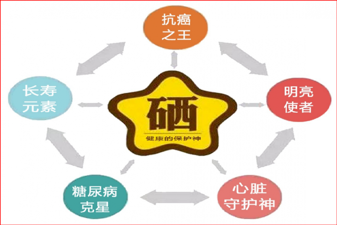 补什么硒最好