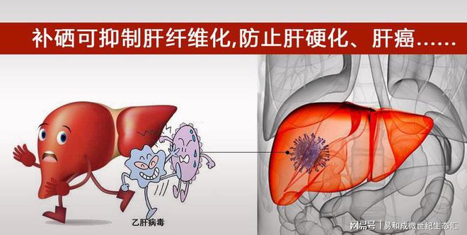 每天补硒多少毫克