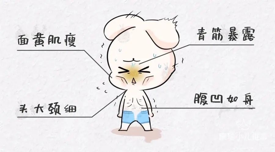 吃锌和硒能补什么