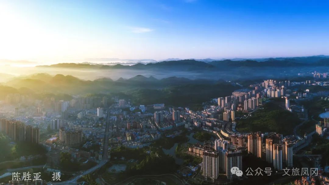 林仙康锌硒茶