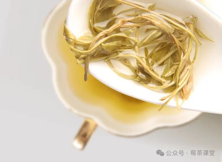 藤茶有什么用