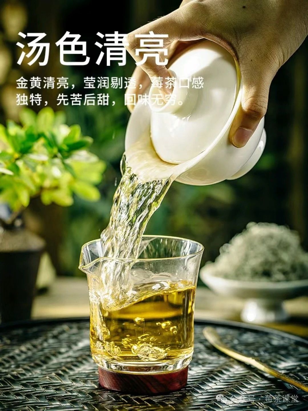 藤茶有什么用
