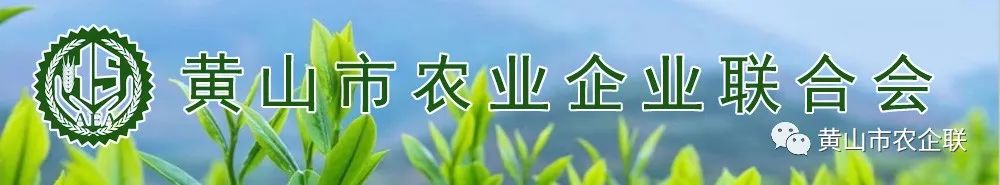 含硒茶叶有哪些