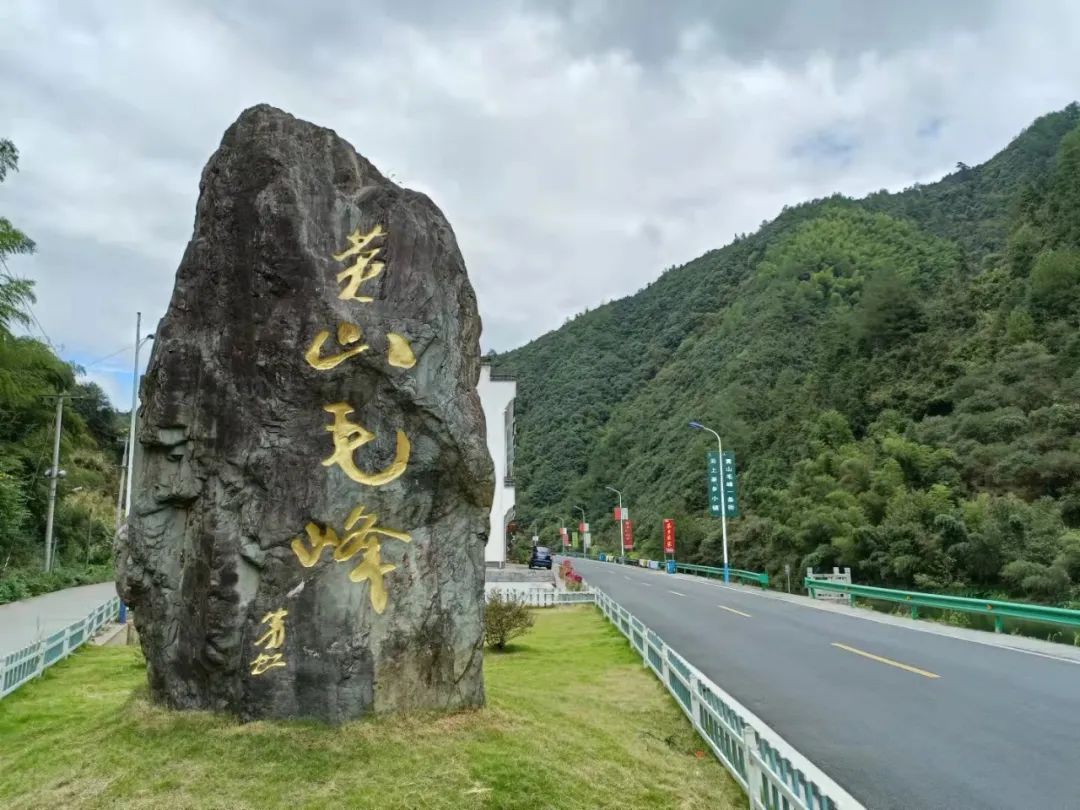 含硒茶叶有哪些
