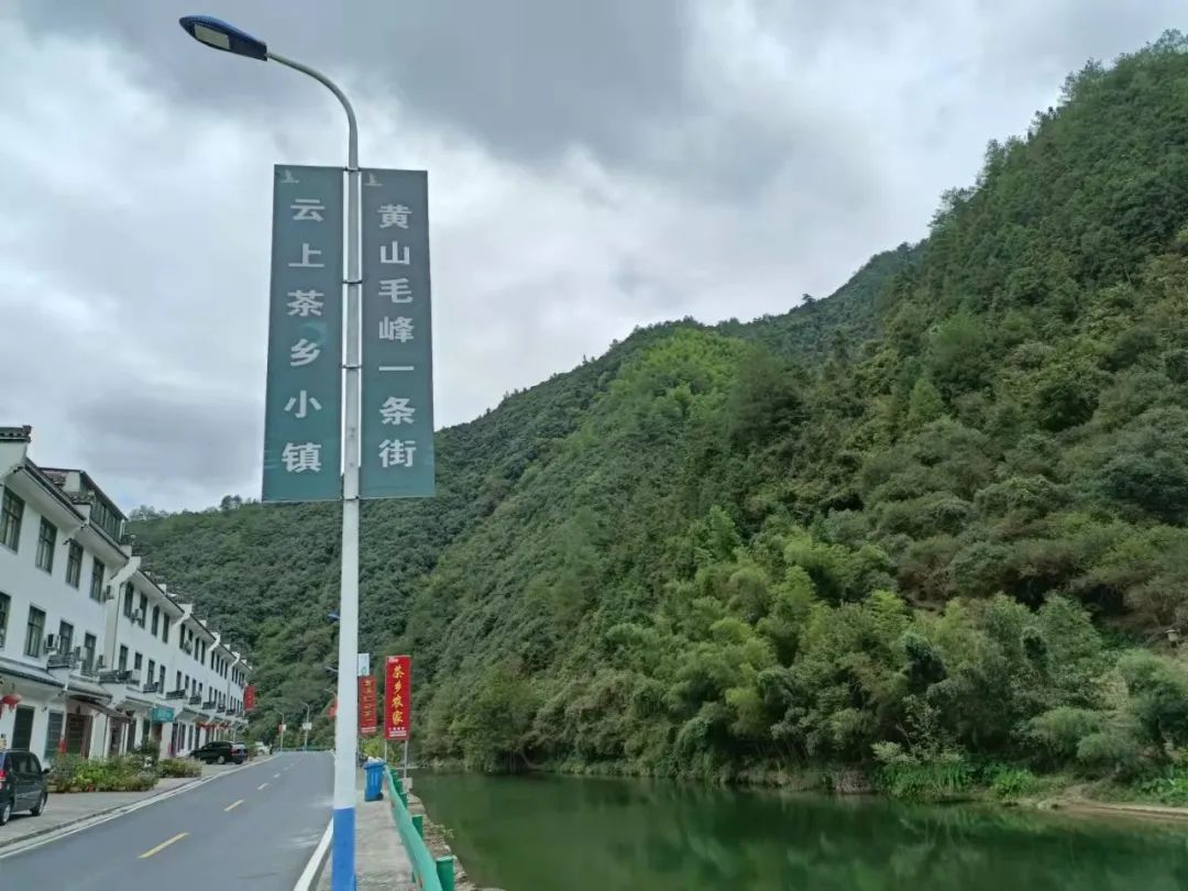 含硒茶叶有哪些