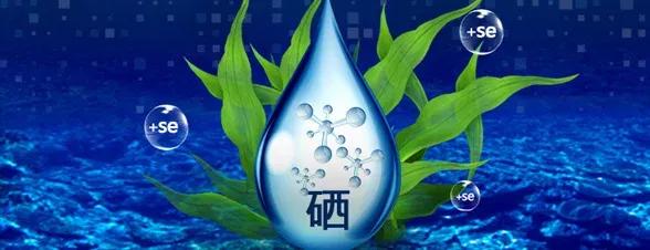 孕期可以补硒吗