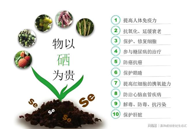 每天补硒100微克