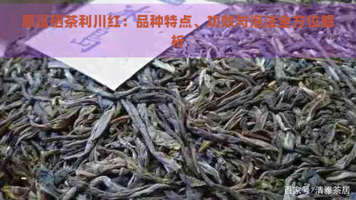 恩富硒茶利川红：品种特点、功效与泡法全方位解析