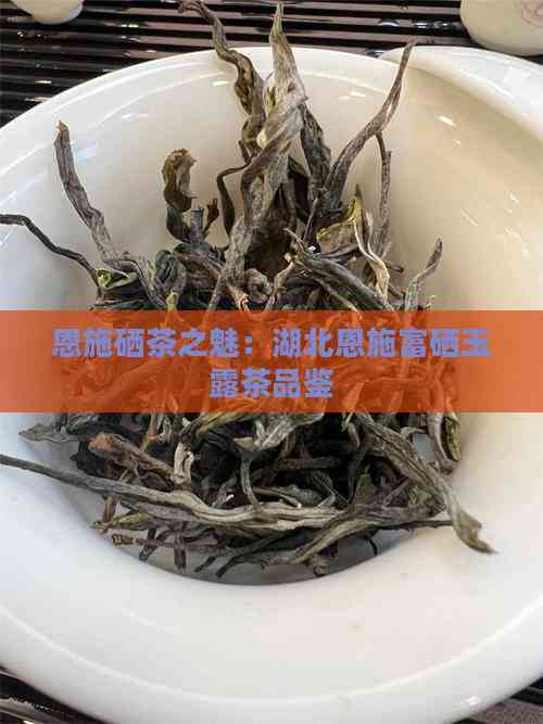 恩施硒茶之魅：湖北恩施富硒玉露茶品鉴