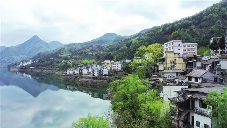 陕西富硒茶产地