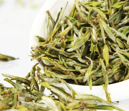 昭平绿茶的功效 什么人适合喝昭平绿茶 昭平茶有美容护肤和减肥作用
