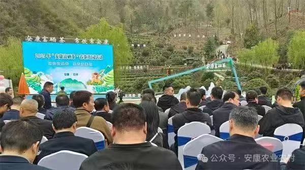 安康富硒茶图片
