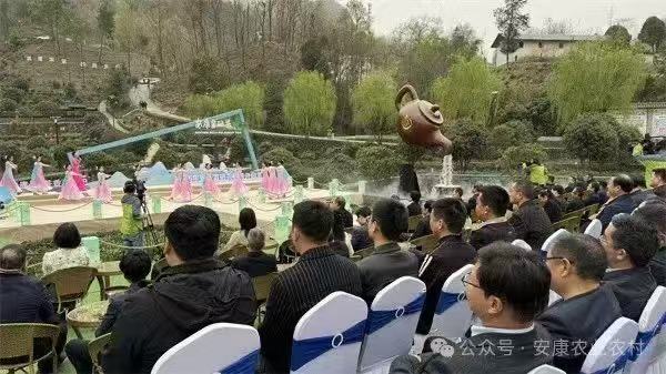 安康富硒茶图片