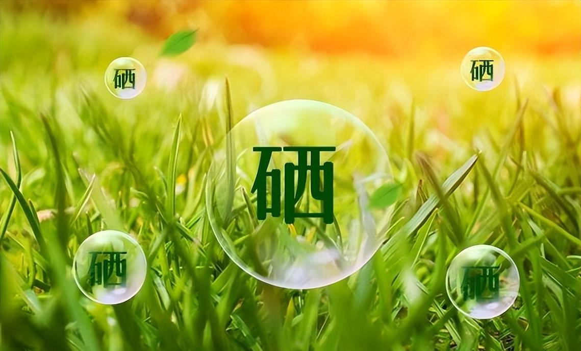 补硒有必要吗