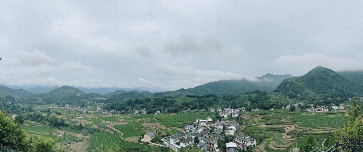汉阴富硒大米
