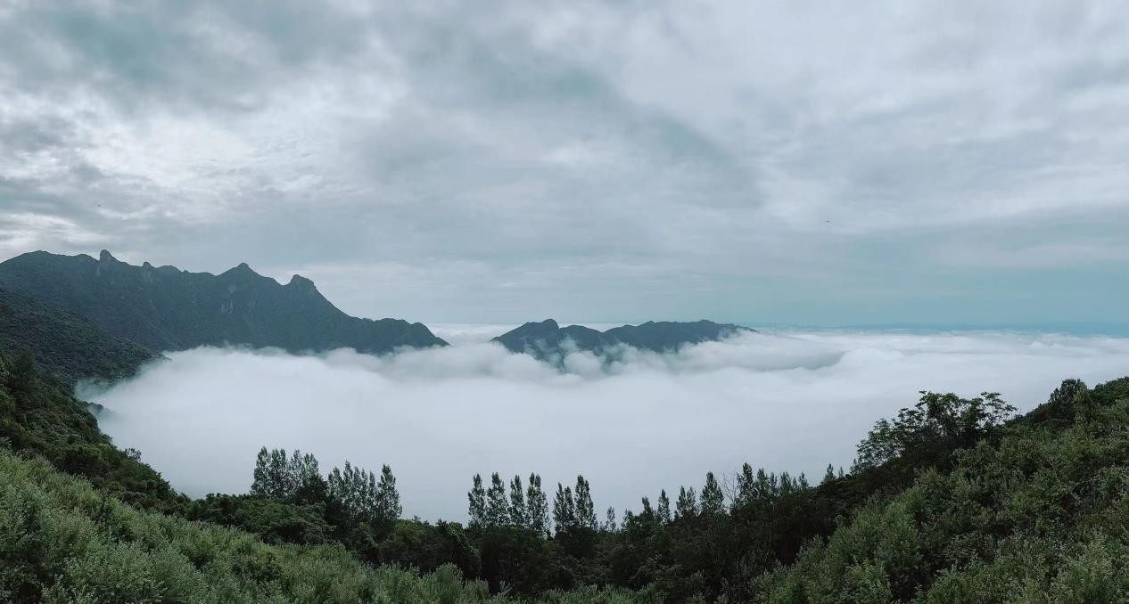 汉阴富硒大米