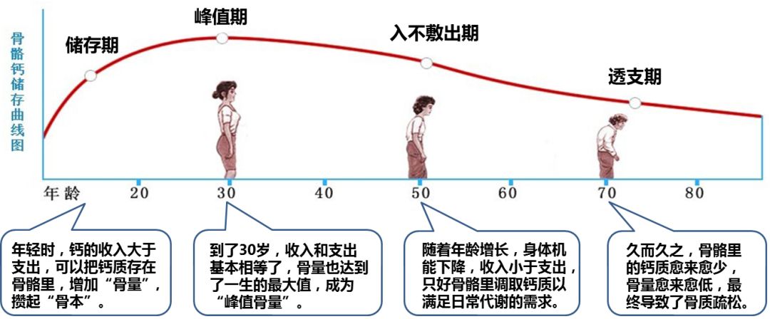 可贝力补钙效果好不好