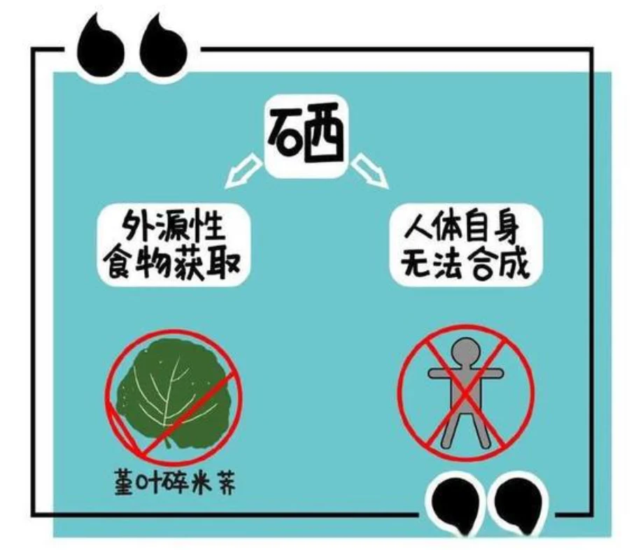 富硒什么意思