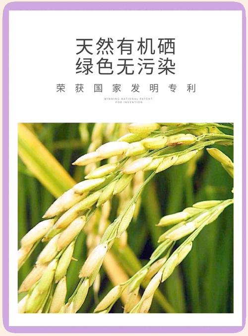 富硒大米行业
