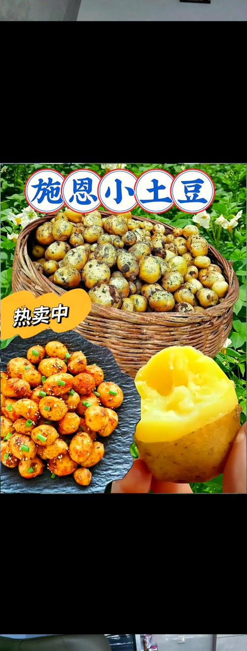 恩施富硒土豆