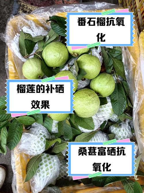 富硒水果标准