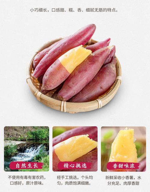 桥头富硒地瓜