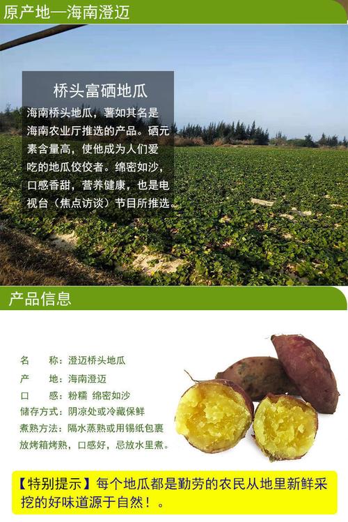 桥头富硒地瓜
