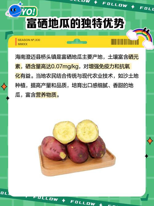 桥头富硒地瓜