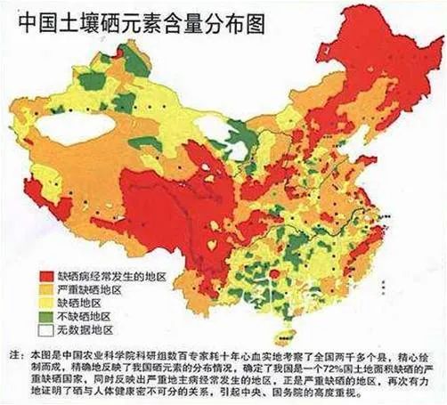 补硒 有机硒