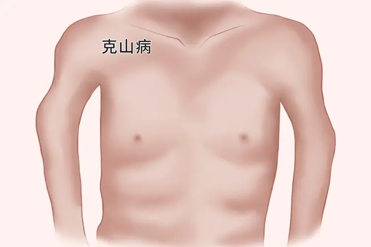 补硒吃什么好