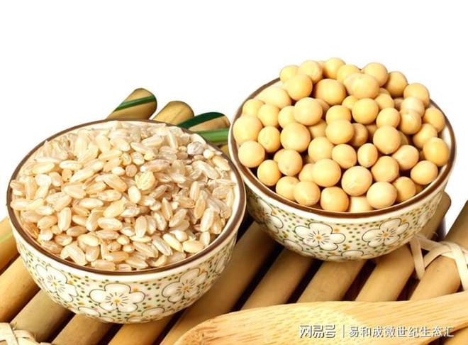 人需要补硒吗
