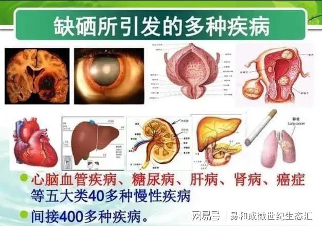 人需要补硒吗