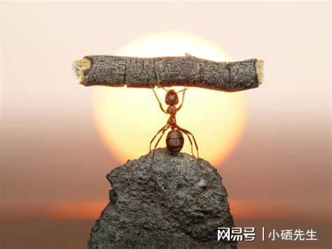 长期补硒好吗