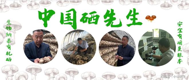 长期补硒好吗