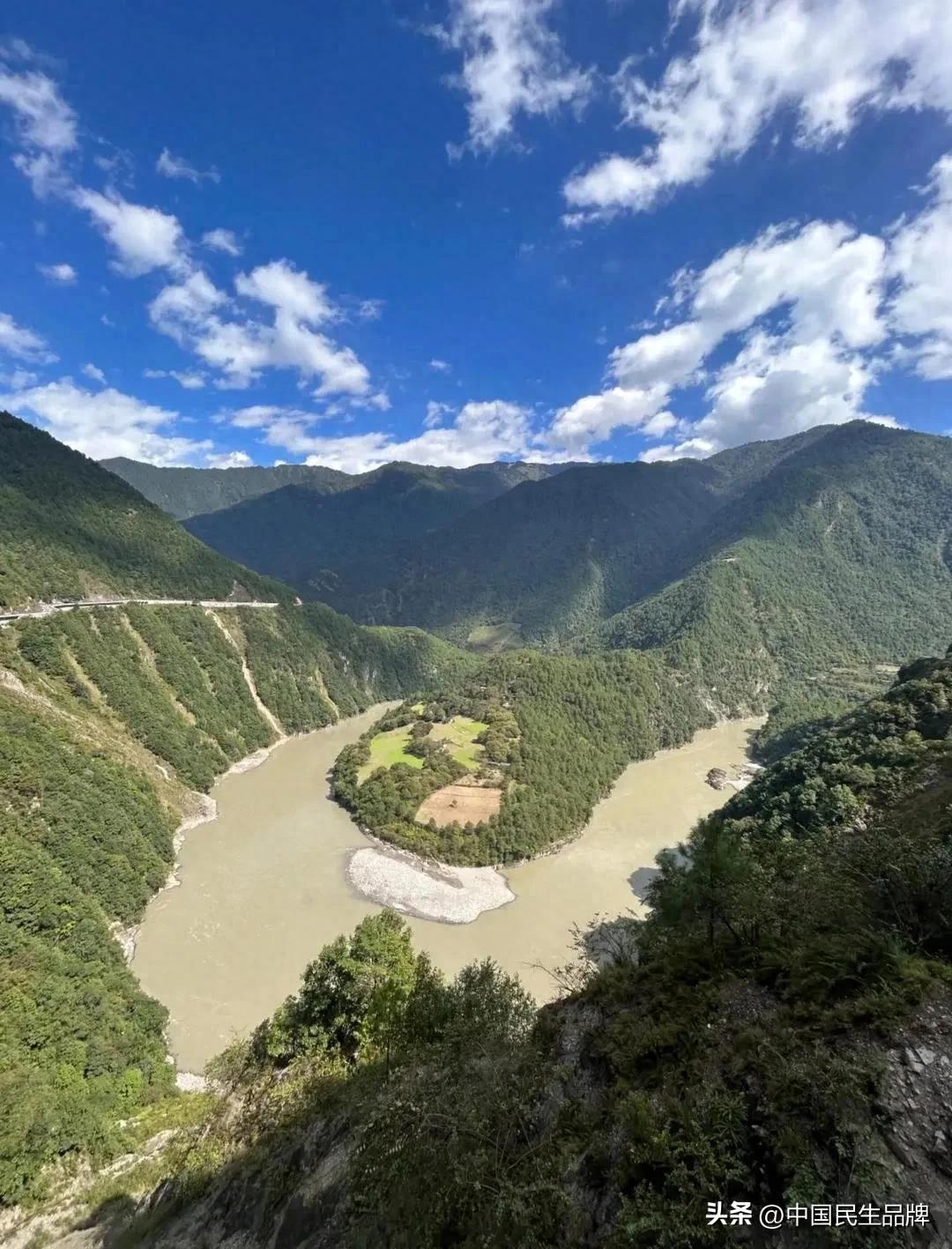 富硒贡茶价格