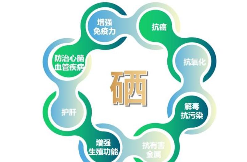 甲状腺炎补硒
