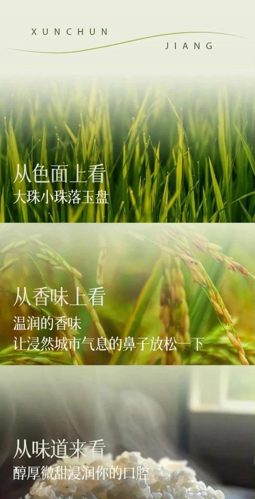 珲春富硒大米