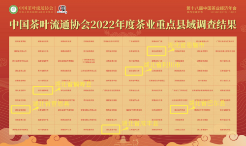 恩施富硒贡茶