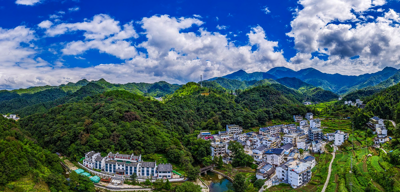 仙寓山富硒茶